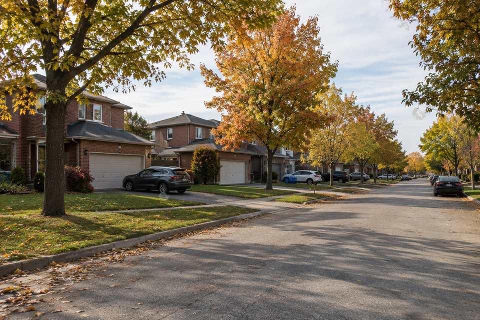 A quiet street of brick two-storey homes under autumn trees